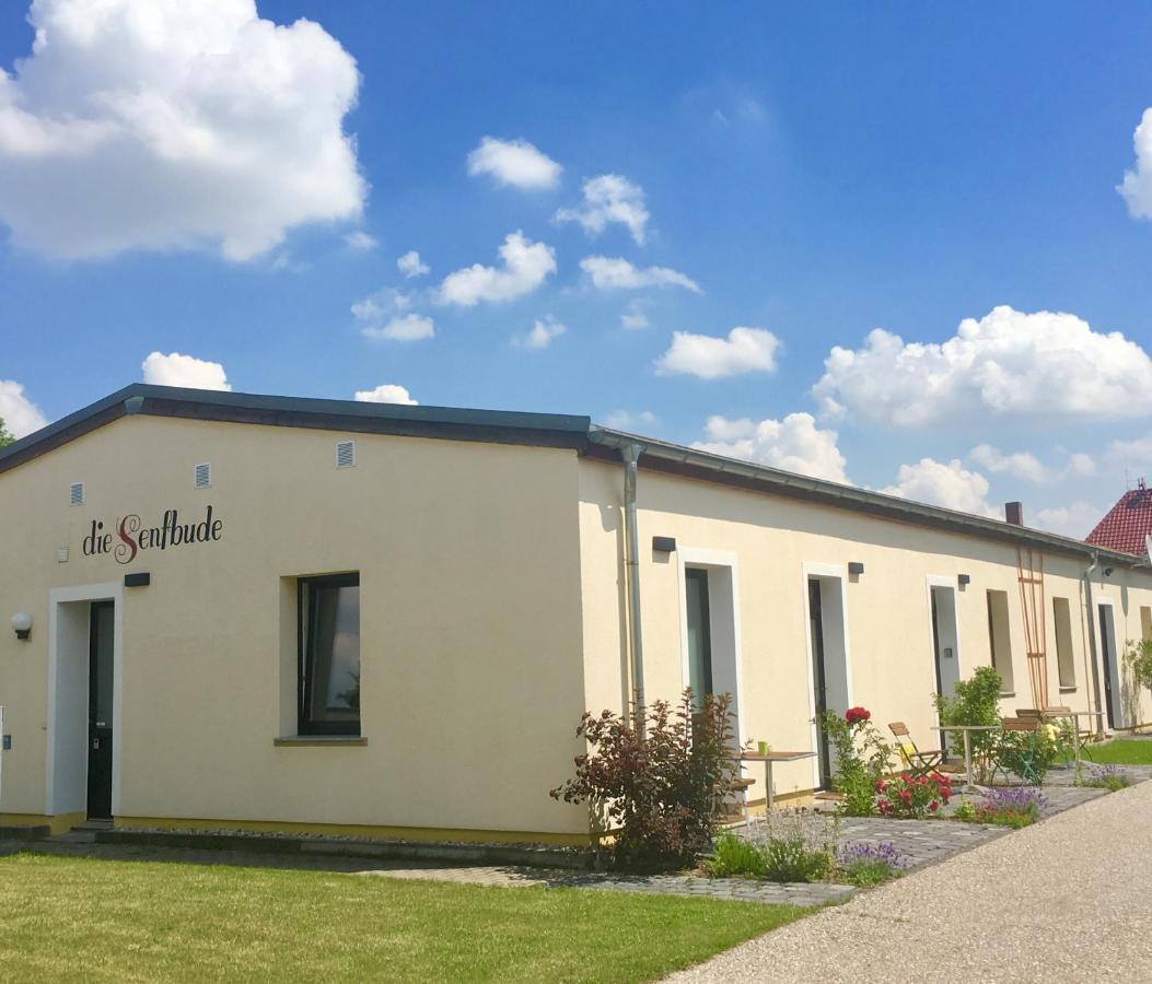Die Senfbude - Klein Aber Fein - Wunderschoenes Studio-Apartment Mit Terrasse Und Stellplatz Lipsia Esterno foto