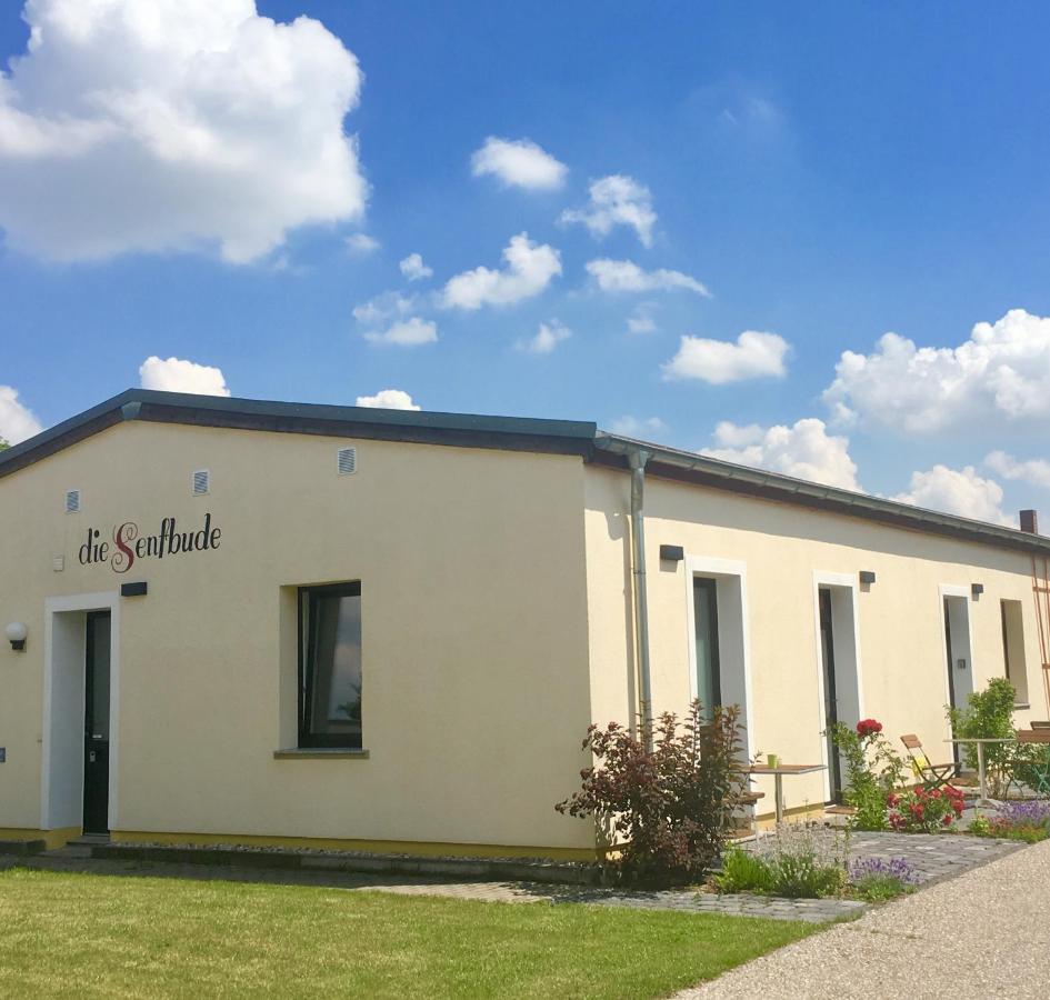 Die Senfbude - Klein Aber Fein - Wunderschoenes Studio-Apartment Mit Terrasse Und Stellplatz Lipsia Esterno foto
